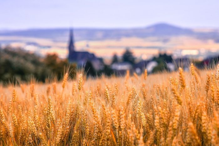 landscape-3519385_1280