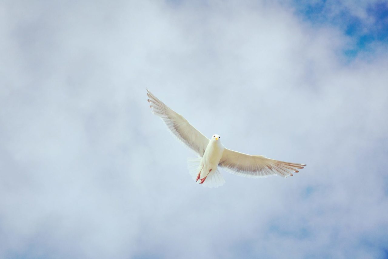 ferdinand-feng-5Ee6FBB-j3k-unsplash